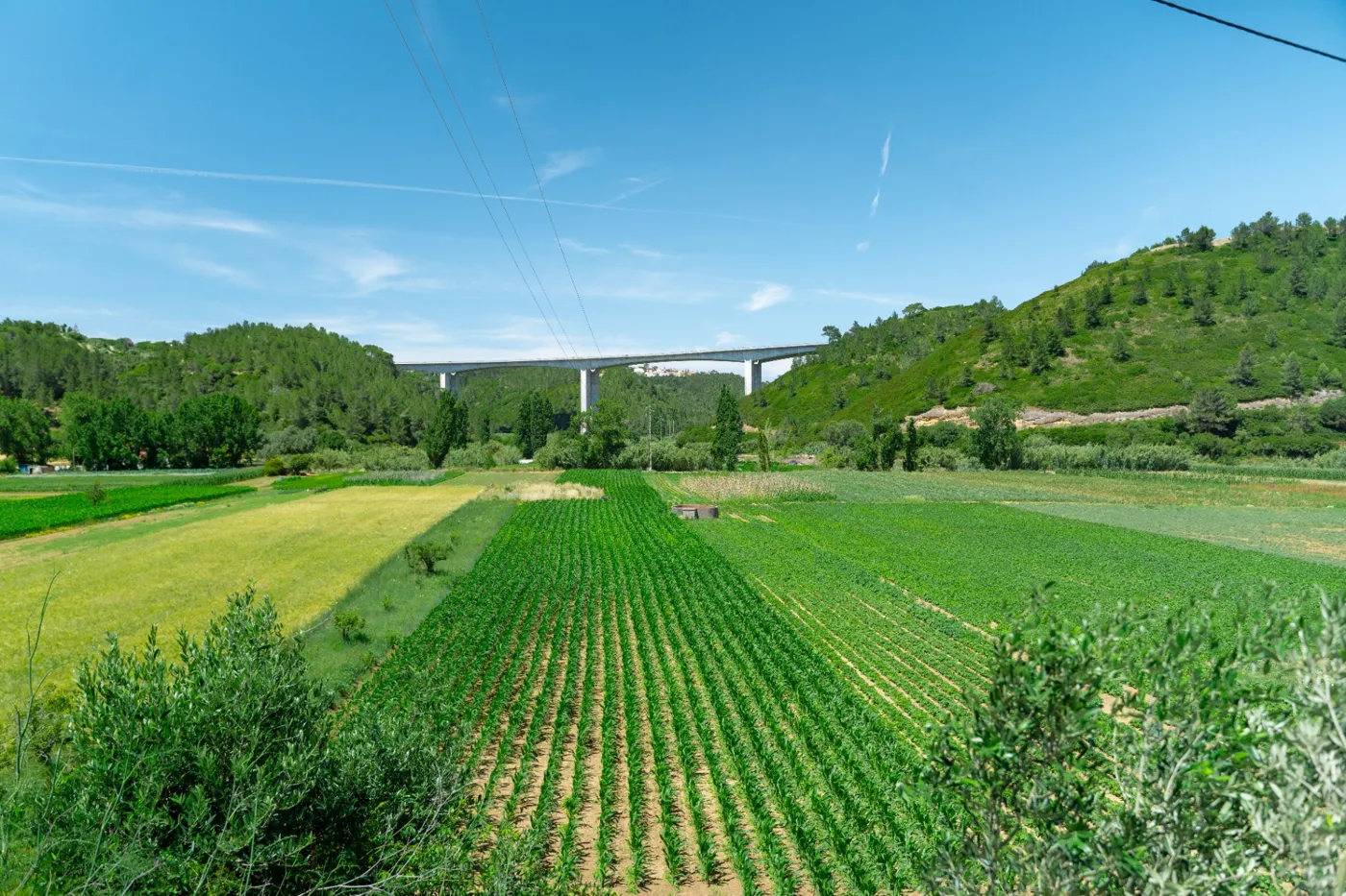 Surrounding countryside